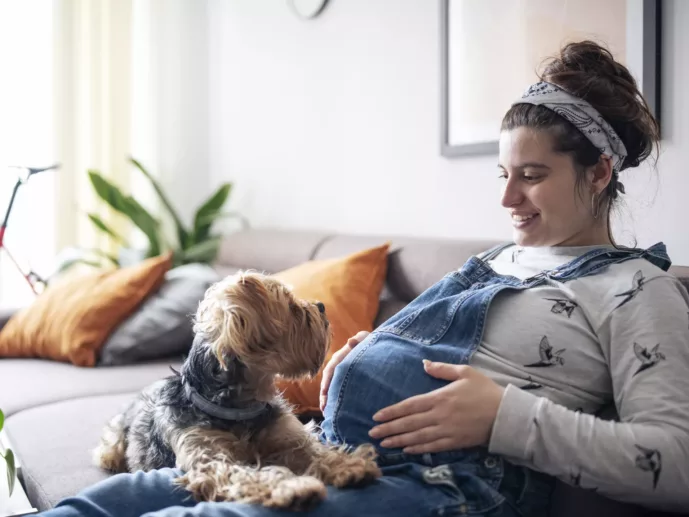Young pregnant woman sitting on sofa and relaxing at home with dog.